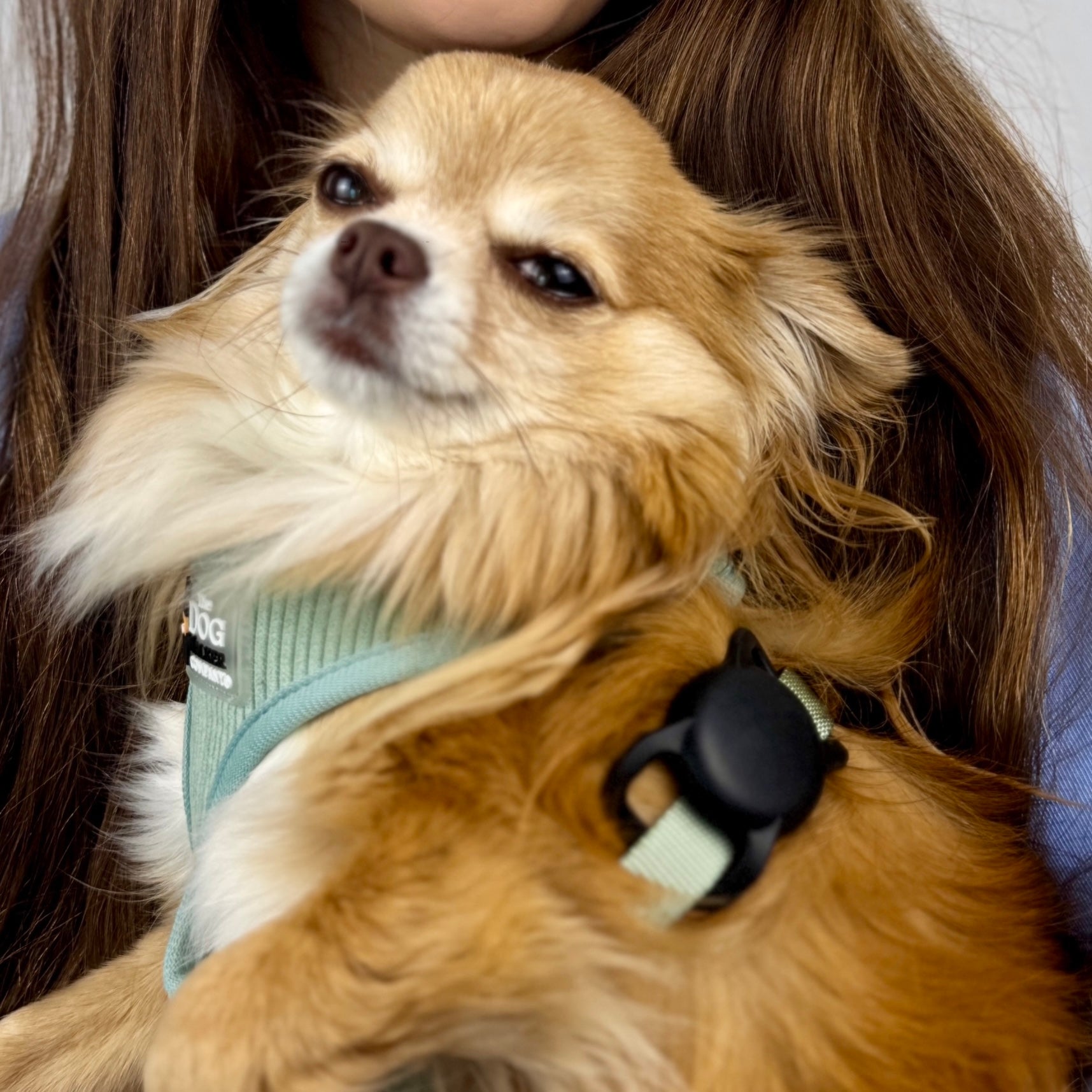 AirTag Collar Holder for Pets – Soft Silicone Case for Safe & Secure Tracking